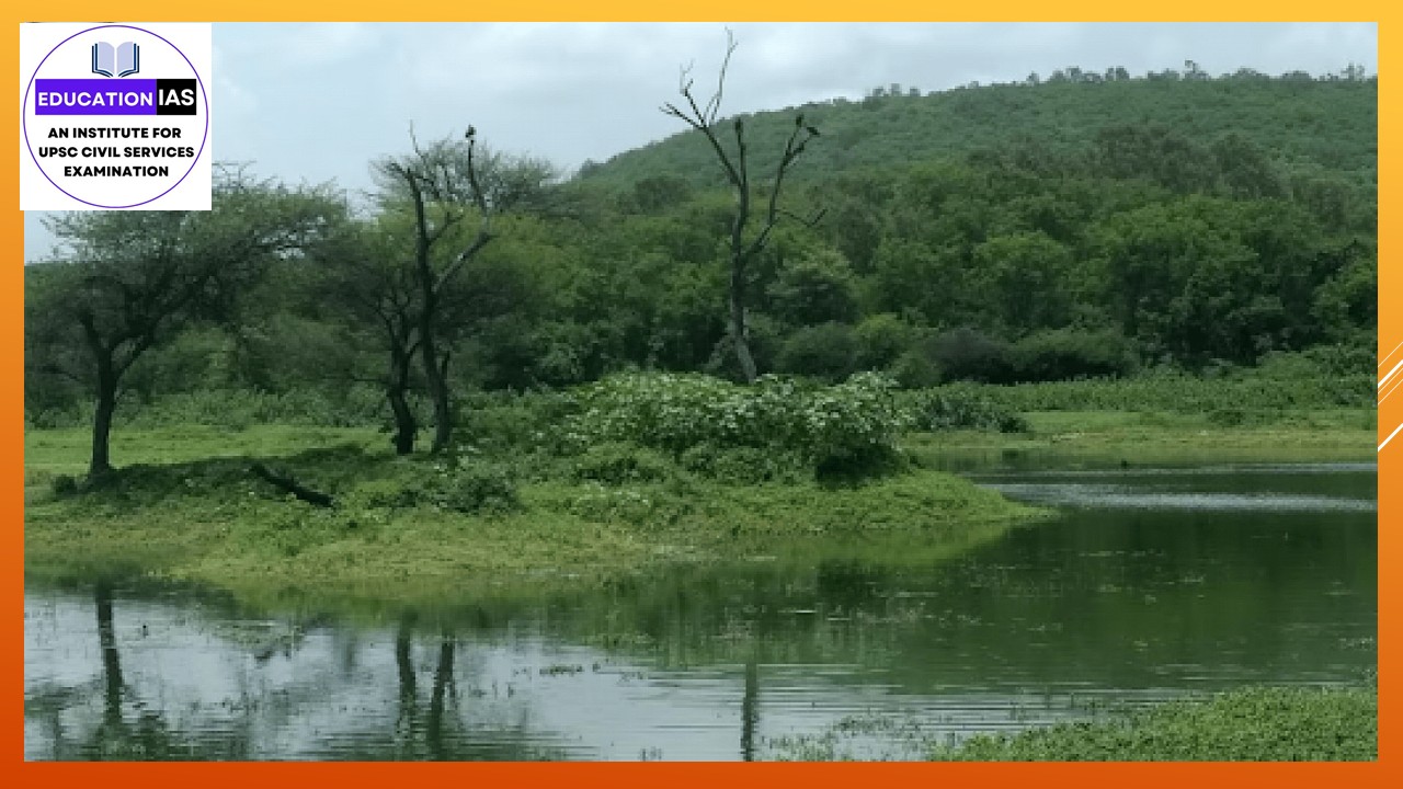 The ecological and socio-economic importance of wetlands
